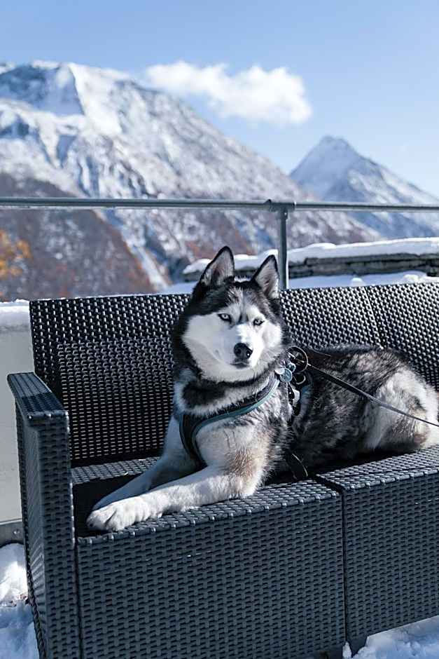 Waldhotel Fletschhorn Panoramic Retreat in Saas Fee