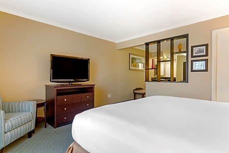 Suite-1 King Bed, Non-Smoking, Sofabed, 2 Flat Screen Tvs, Wet Bar, Microwave And Refrigerator, Wi-Fi, Full Breakfast