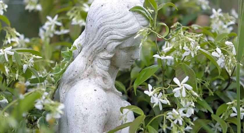 Relais de Chasse la Chaignaie