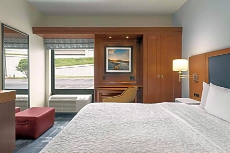 1 King Bed Nonsmoking