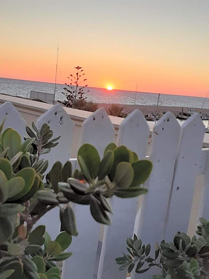 Il Torrazzo da Francesca