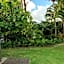 Plantation Hale Suites
