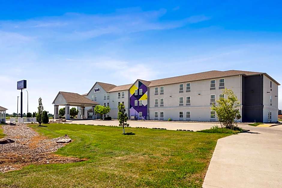 Spark by Hilton Minot