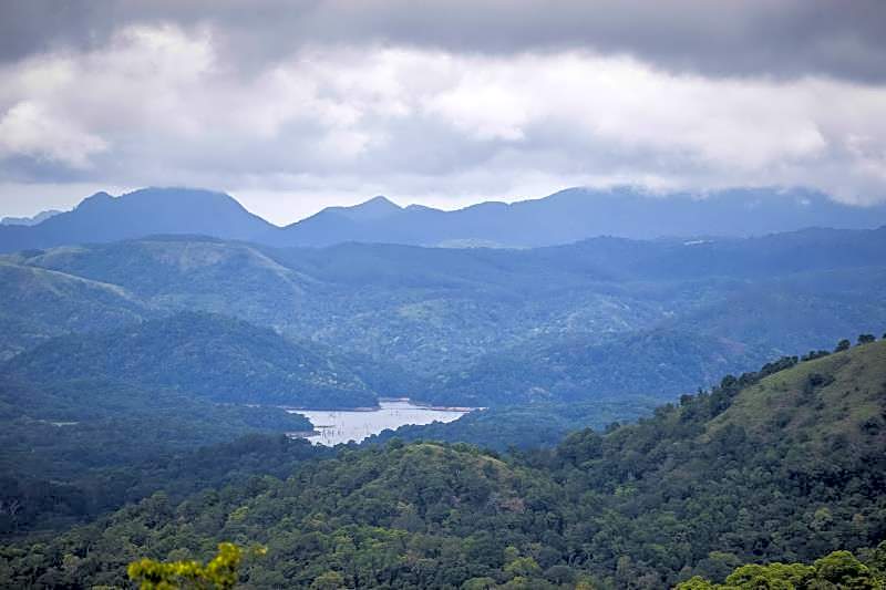 The Mountain Courtyard