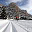 Alpine Hotel Gran Foda'