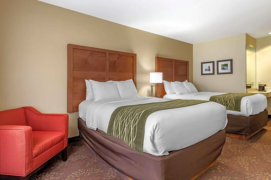 Comfort Inn Okemos