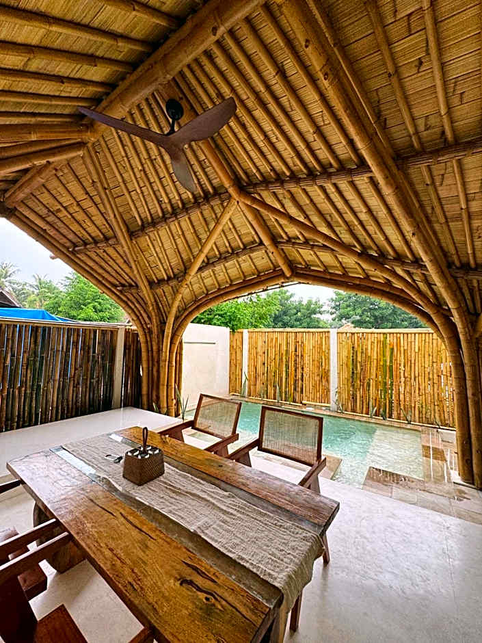 Tipsea Turtle Gili Air