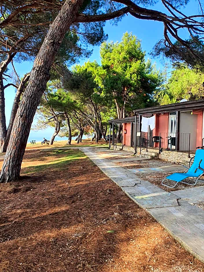 Family Bungalow Pineta