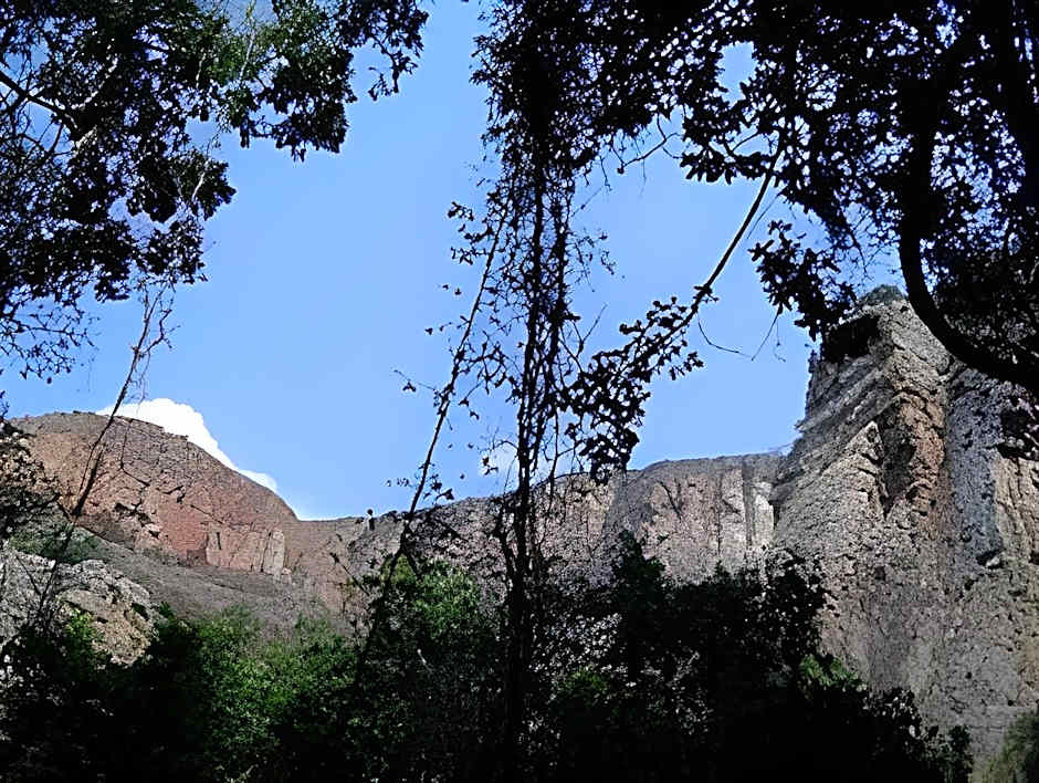 Forest Creek Lodge And Spa