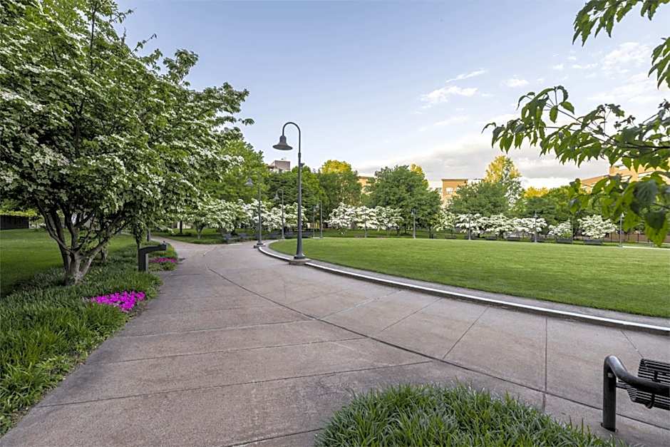 Luxury Furnished Apartments by Hyatus Downtown at Yale