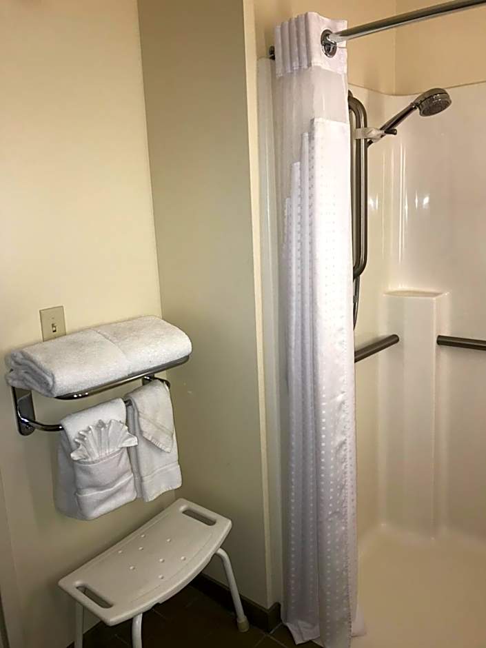 Holiday Inn Hotel & Suites Ann Arbor University of Michigan Area By IHG