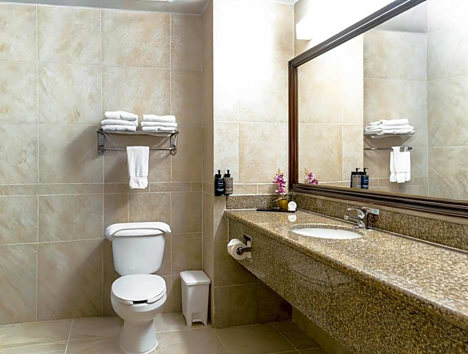 Hodelpa Garden Suites- All Inclusive