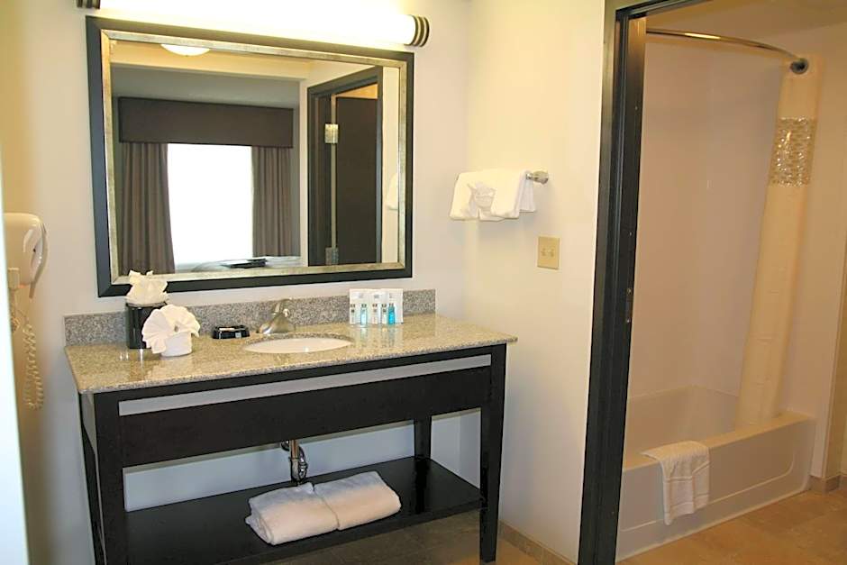 Hampton Inn By Hilton And Suites Detroit/Airport-Romulus
