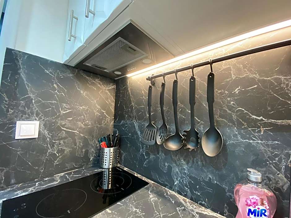 Beautiful mini Loft near Saint-Lazare