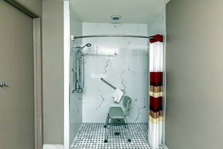Deluxe King Room Disability Access Roll-In Shower Non-Smoking
