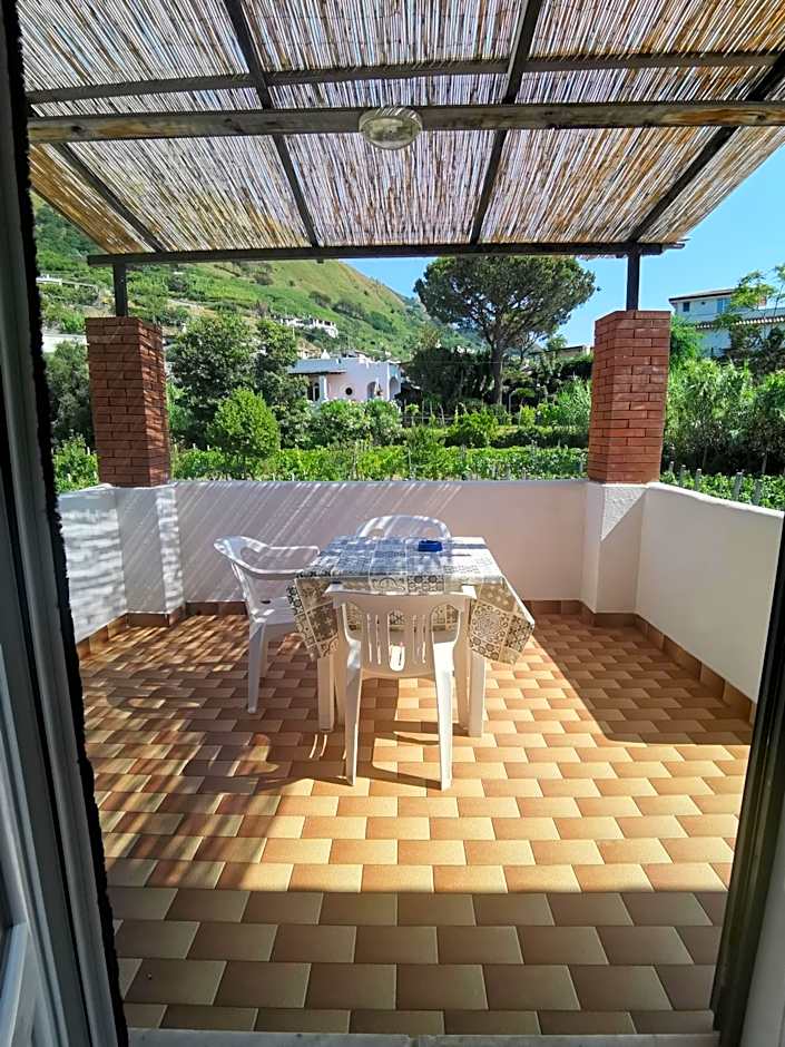 Villa Olivia Residence Ischia - nel Verde con Piscine e Vista Mare