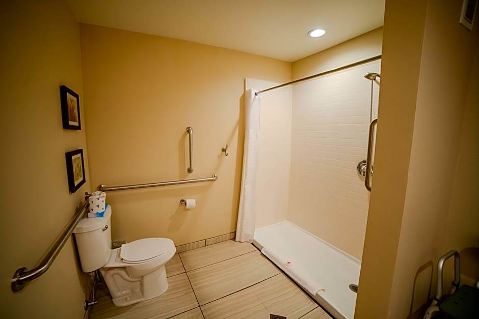 Comfort Suites University