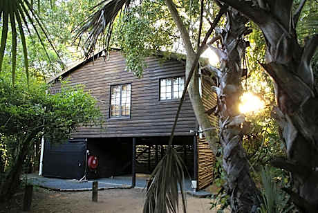 Isinkwe Bush Camp