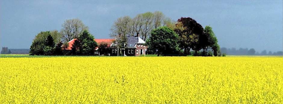 Hostel Herberg de Esborg Scheemda