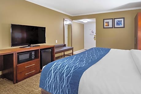 Deluxe Room, 1 King Bed, Accessible Whirlpool Tub, Non Smoking