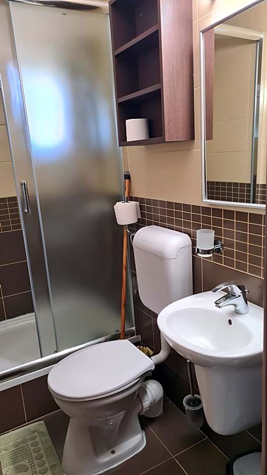 Vila Dini(La Rogojini)