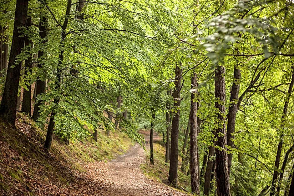 Waldsee Hotel am Wirchensee