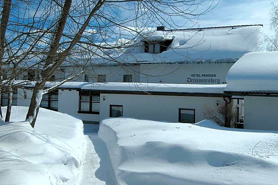 Hotel Dreisonnenberg