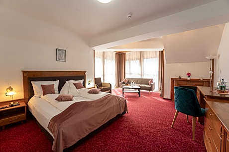 Double Room with Fireplace (2 Adults +1 Child)