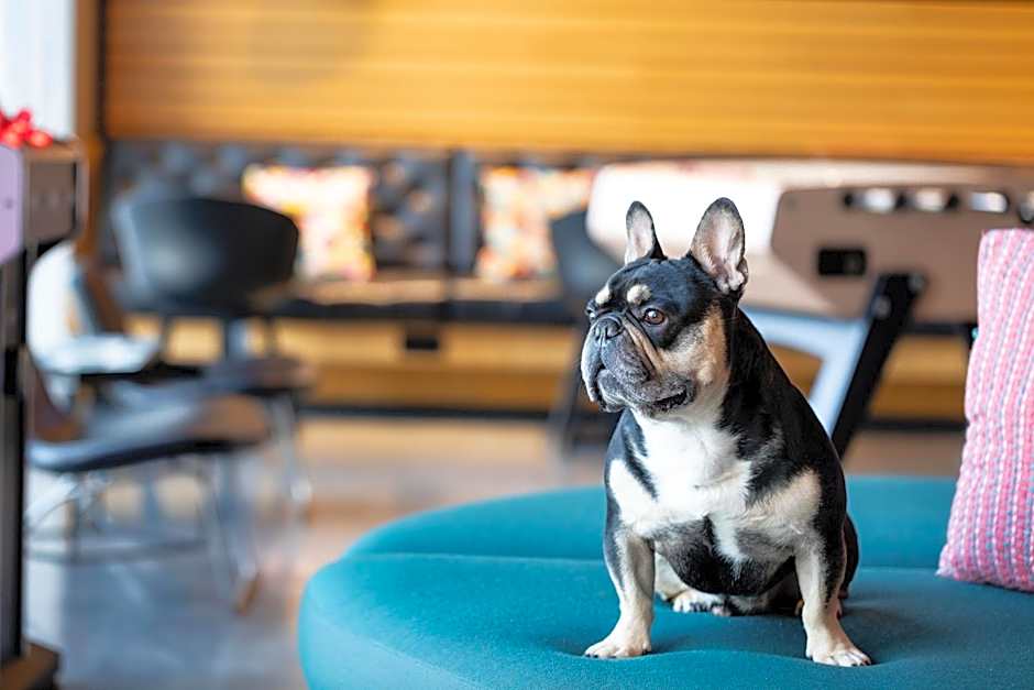 Moxy by Marriott Aberdeen Airport