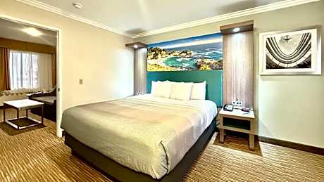 Suite, 1 King Bed with Sofa Bed, Non Smoking