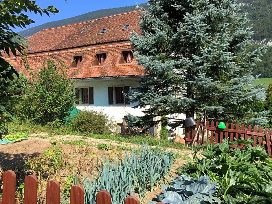 Chez Dodo 2534 Orvin Le Foncet