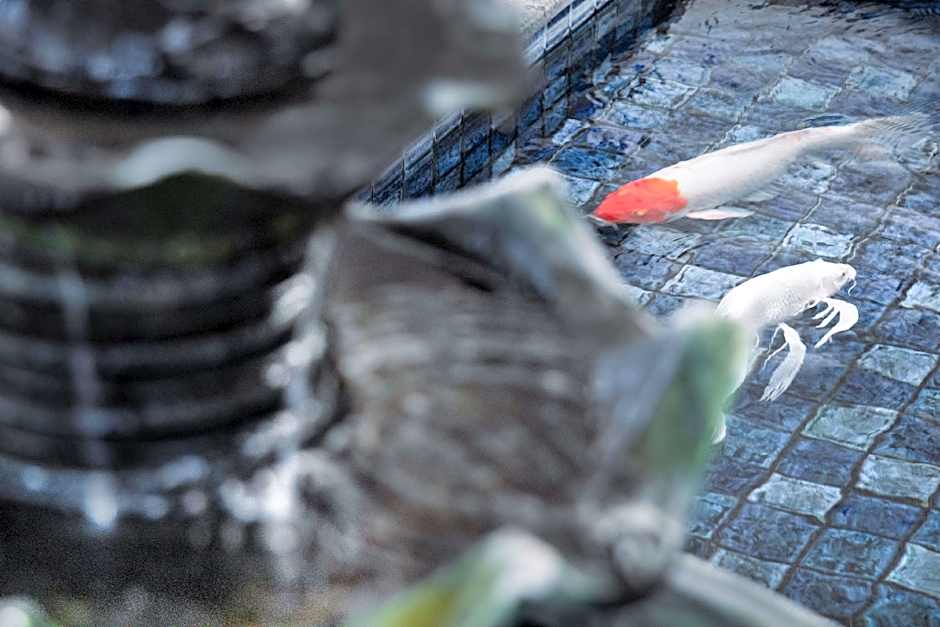 Best Western Plus Coco Palu