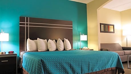 1 King Bed, Mobility Accessible, Roll In Shower, Whirlpool, Sofa, Non-Smoking, Full Breakfast