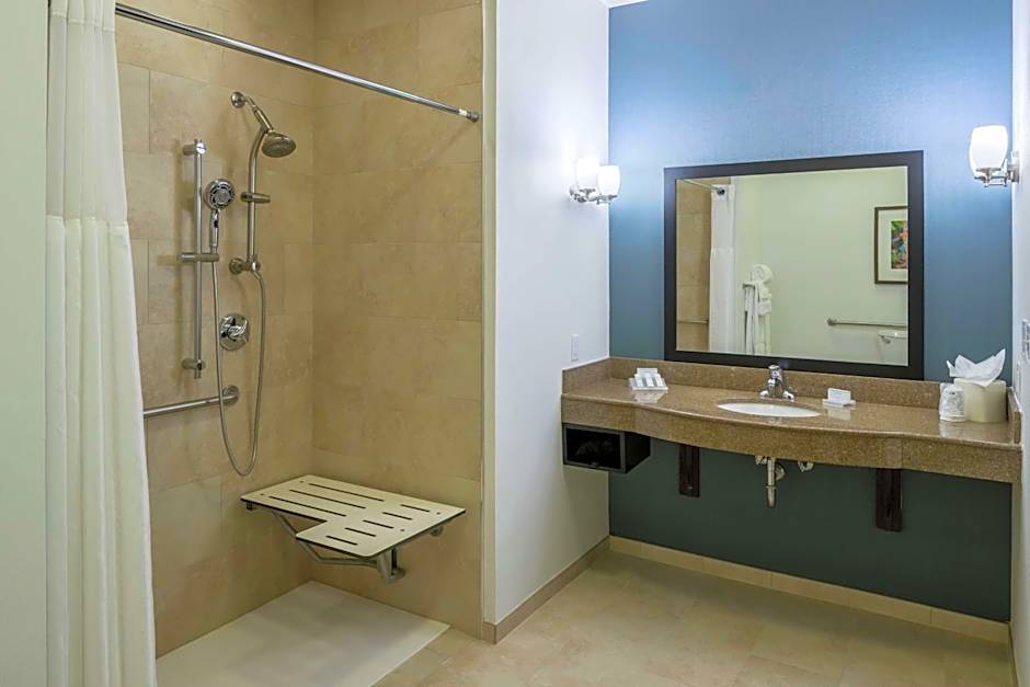 Hilton Garden Inn Dfw North Grapevine