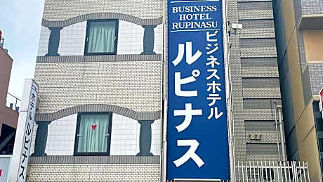 Business Hotel Rupinasu