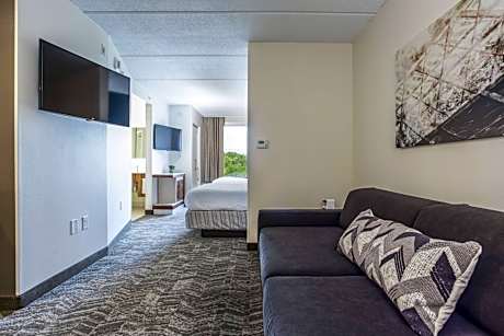 Double Studio with Sofa Bed