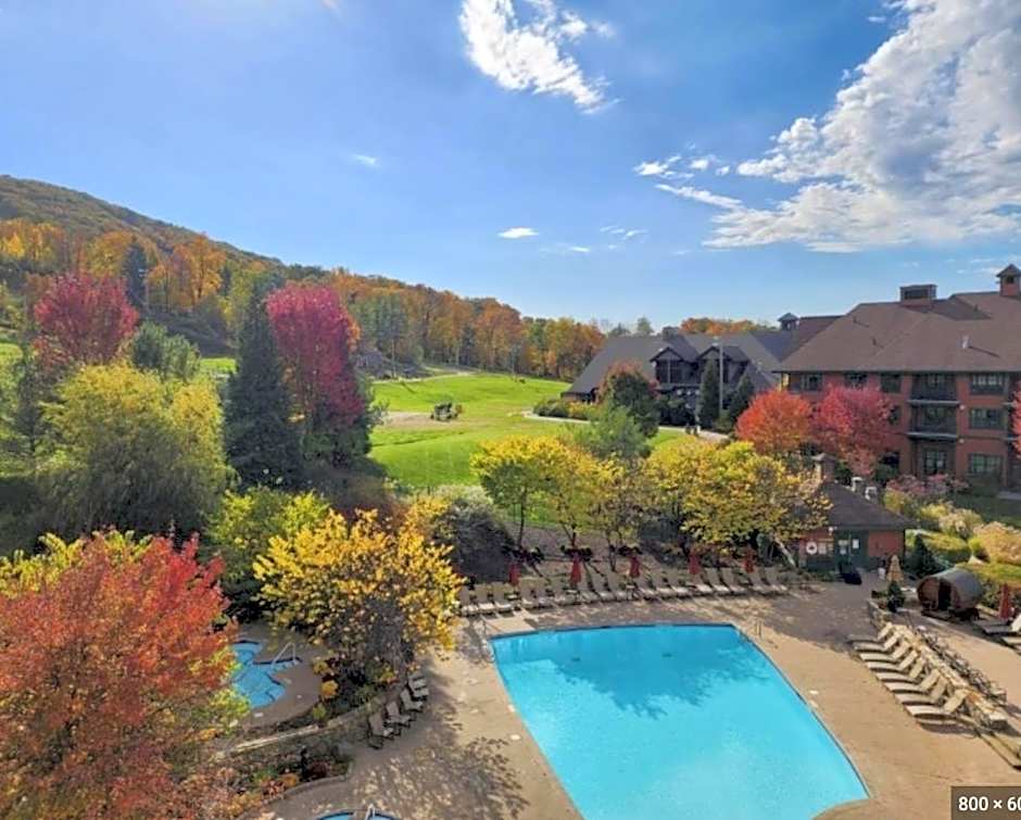 Cozy Mountain View Condo