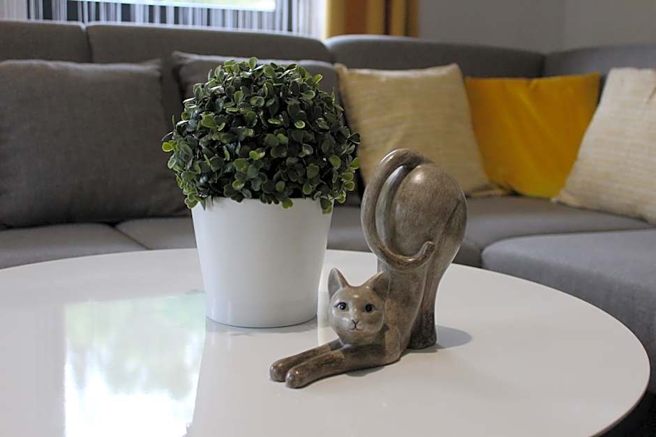 Apartamenty Świstak Maciej Dunajczan