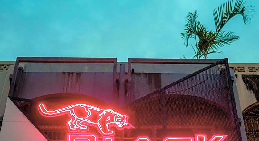 Black Panther Hostel