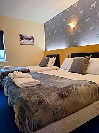 Family Room (2 Adults + 1 Child)