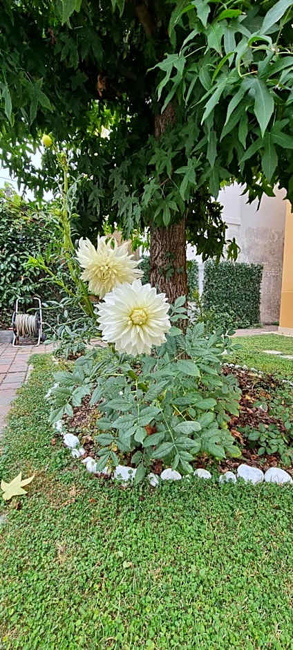 UNAHOTELS Eco Hotel Villa Costanza Venezia