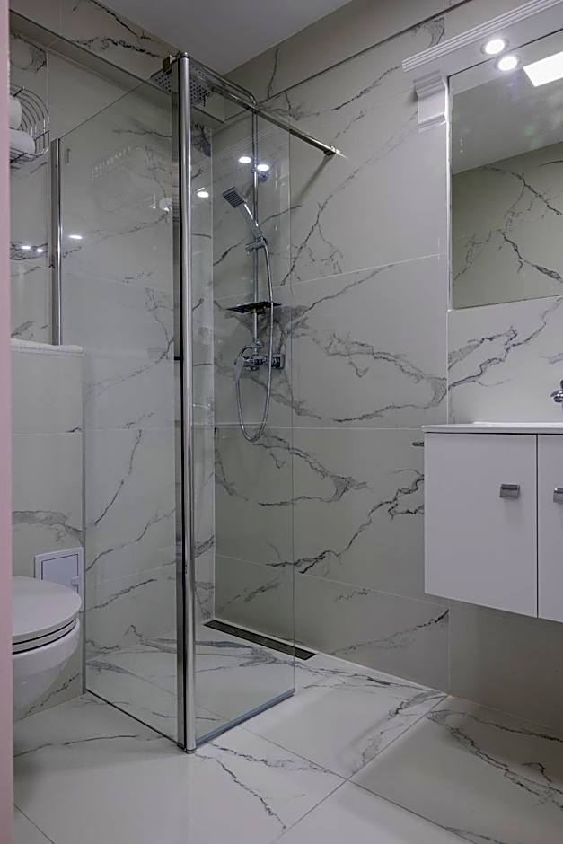 Hotel Vila Central Boutique Satu Mare