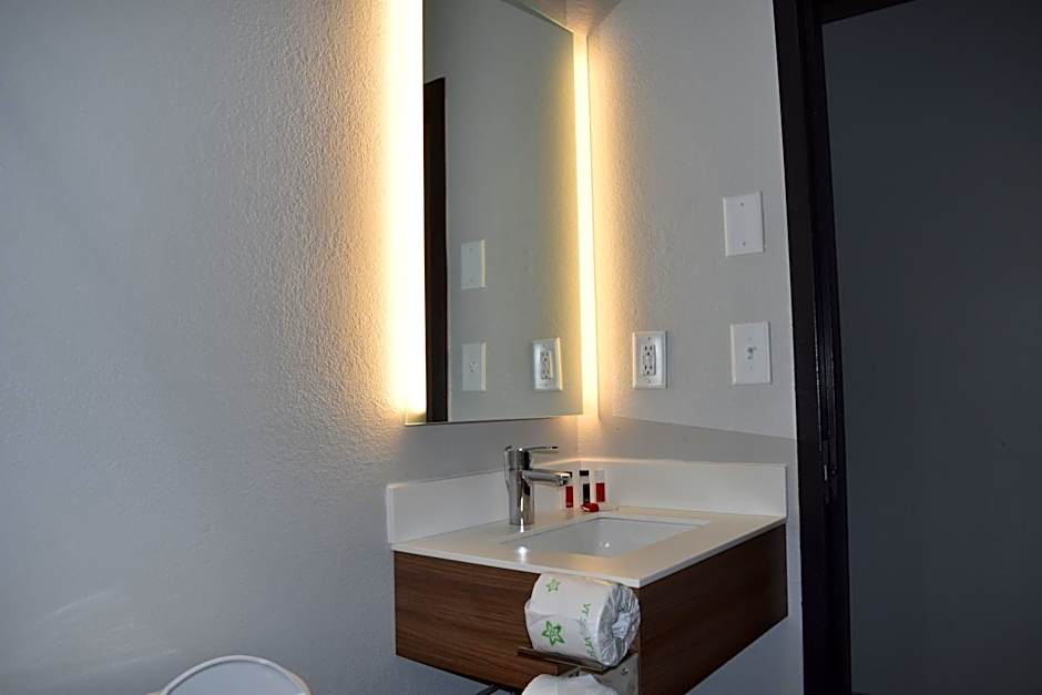 Microtel Inn & Suites by Wyndham Stockbridge/Atlanta I-75