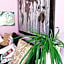 Aloi Rooms