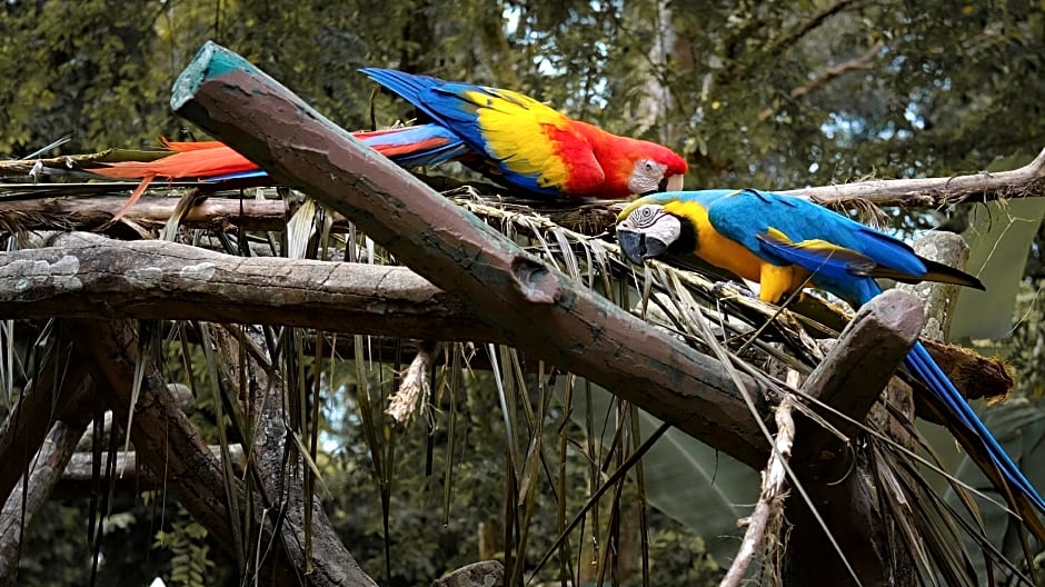 Homie6@ The Heights Residence/ 6-7 Pax