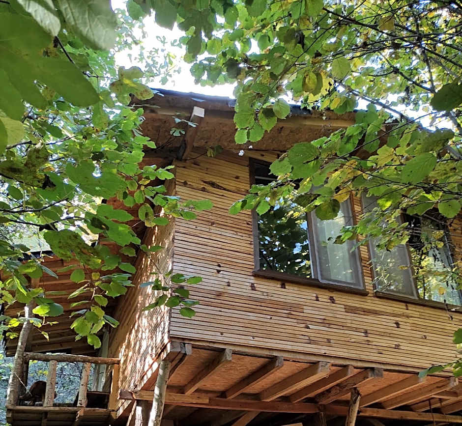 Photo 1 of 9 of Cabin