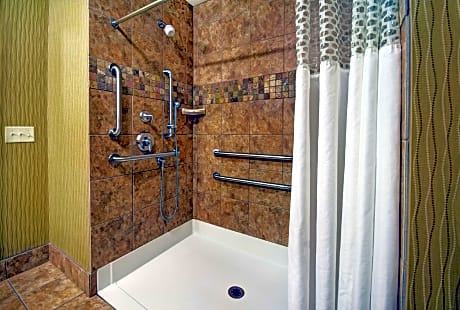 1 King Mobility Hearing Accessible Roll In Shower Non-Smoking