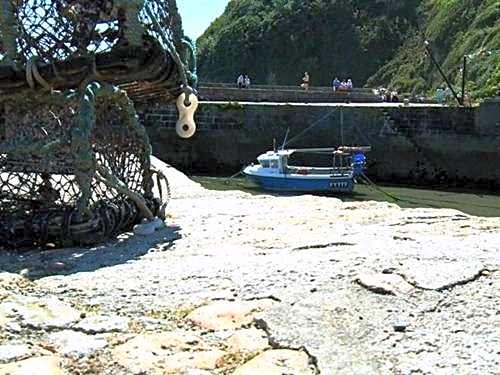 The Britannia Inn & Waves Restaurant