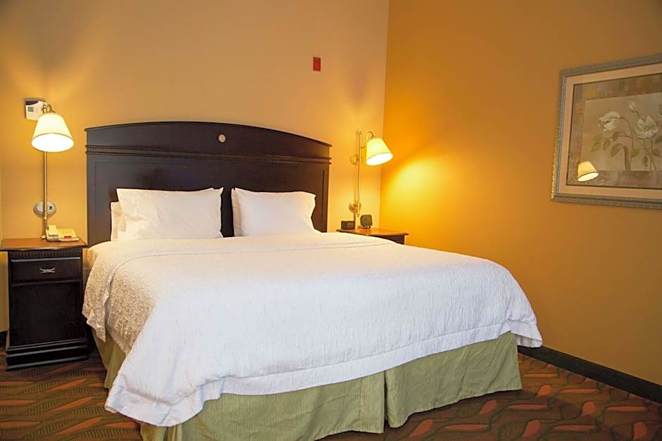 Hampton Inn By Hilton & Suites Houston - Rosenberg
