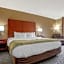 Comfort Inn University Area